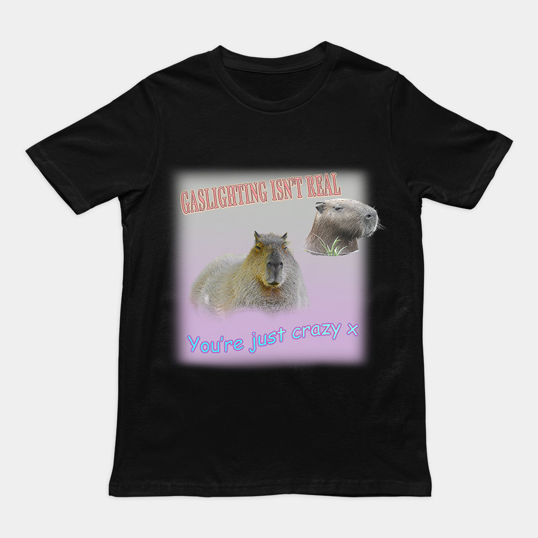 Gaslighting isn't Real t-shirt