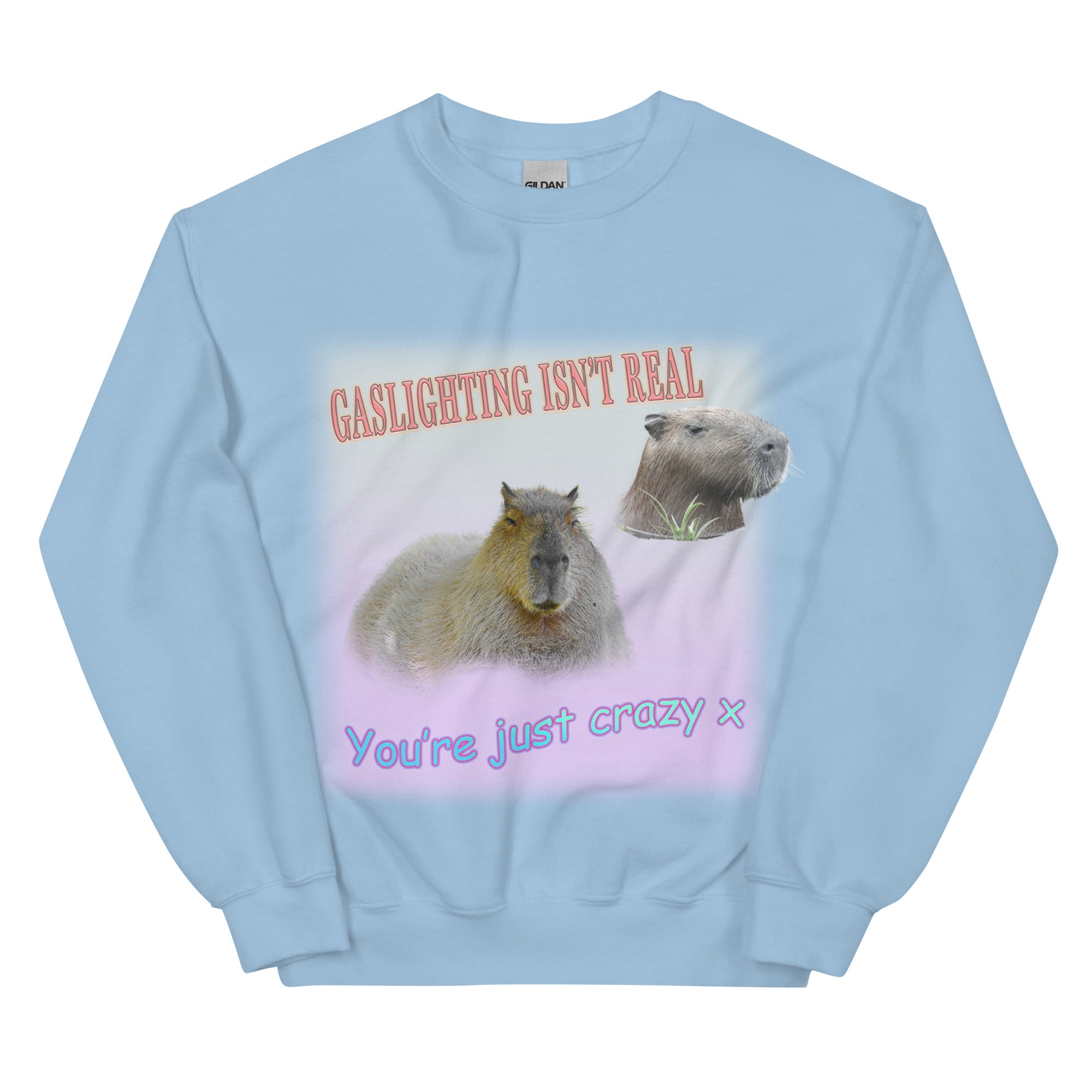 Gaslighting Isn't Real Sweatshirt