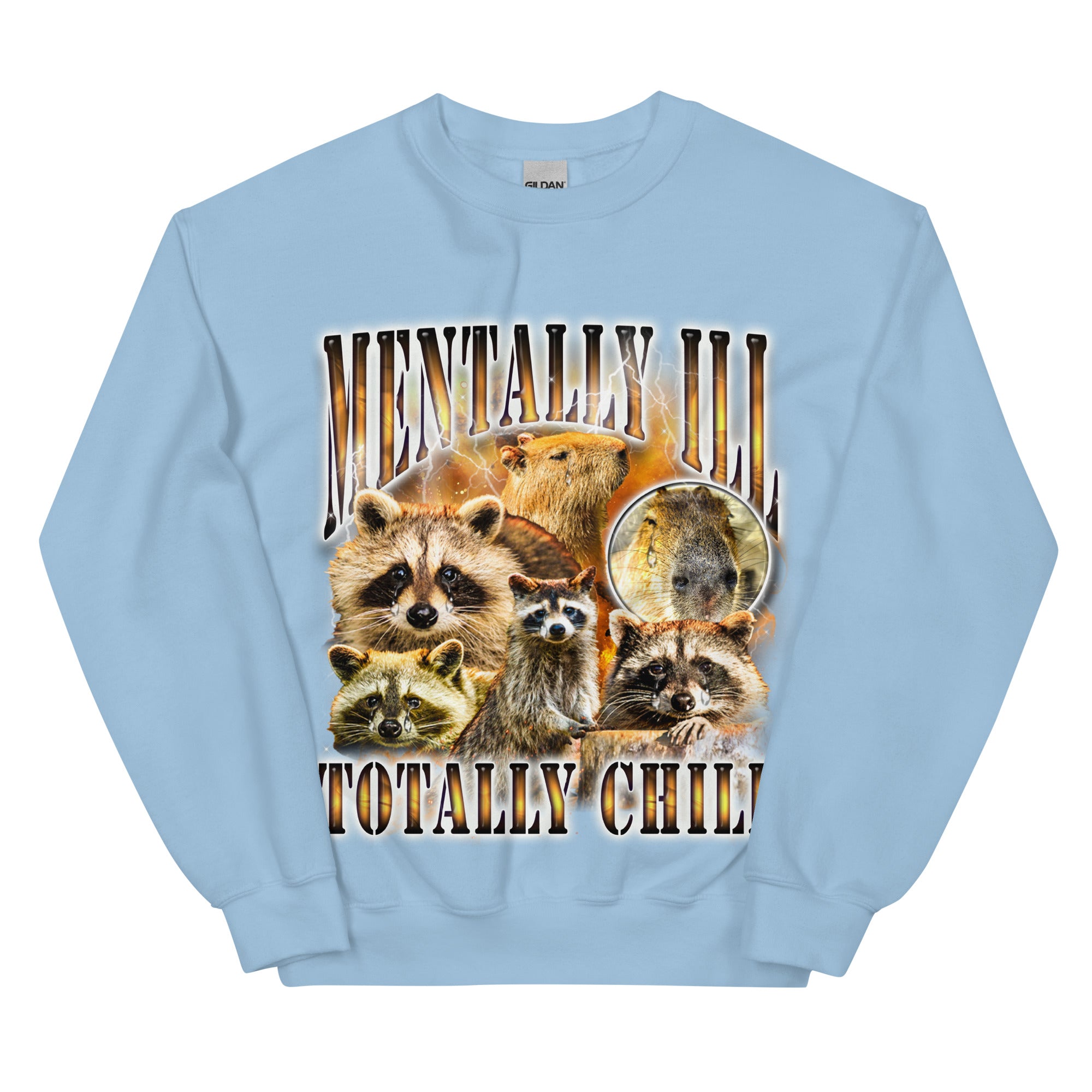 Mentally Ill Totally Chill Sweatshirt