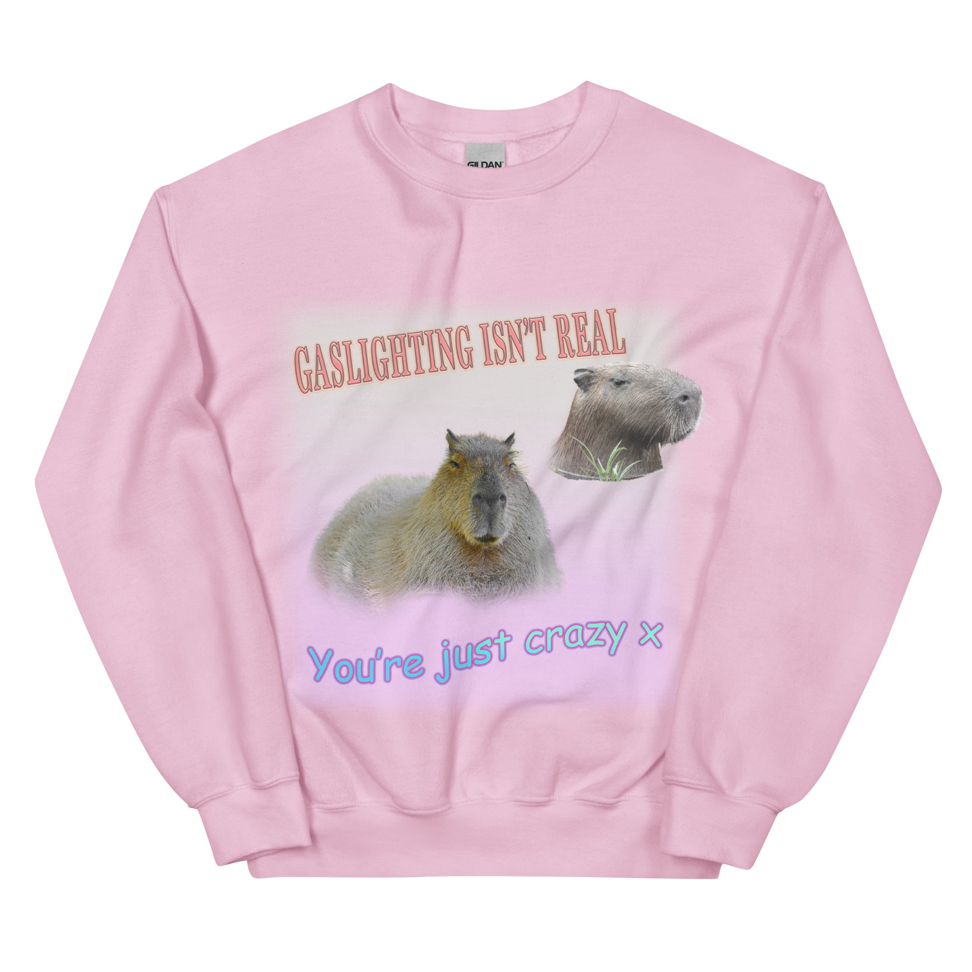 Gaslighting Isn't Real Sweatshirt