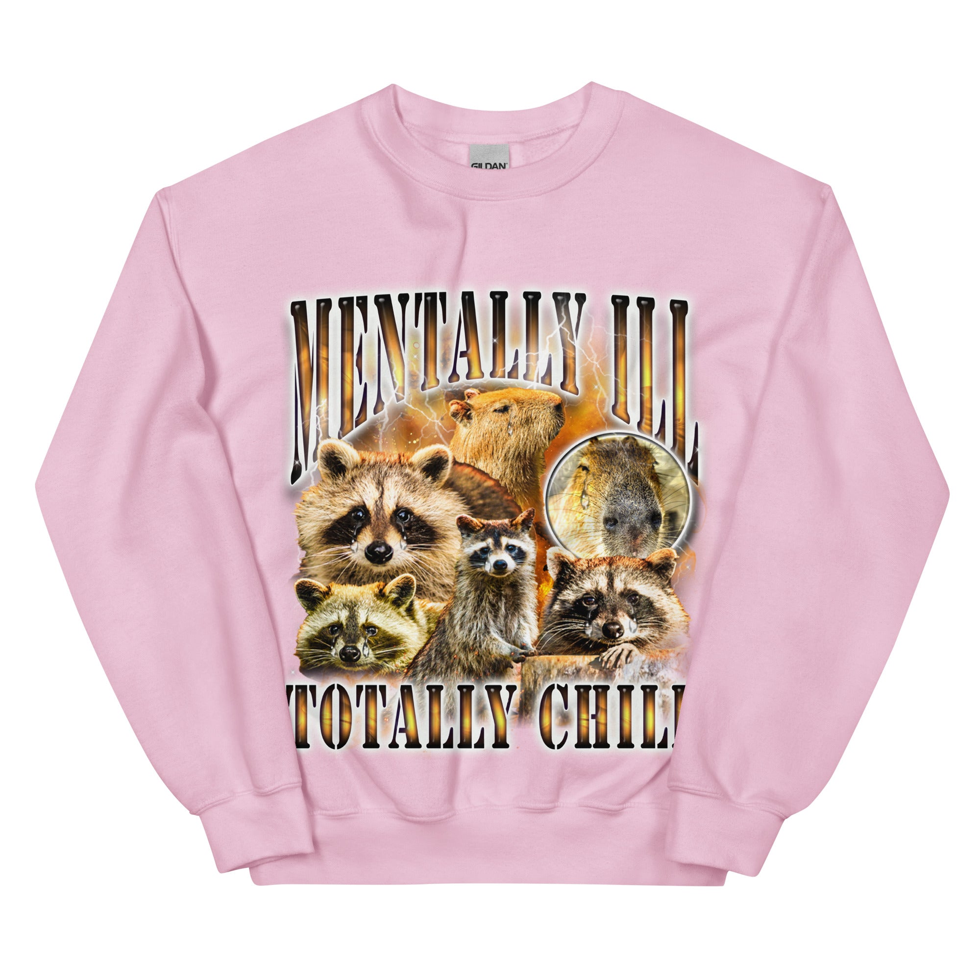 Mentally Ill Totally Chill Sweatshirt