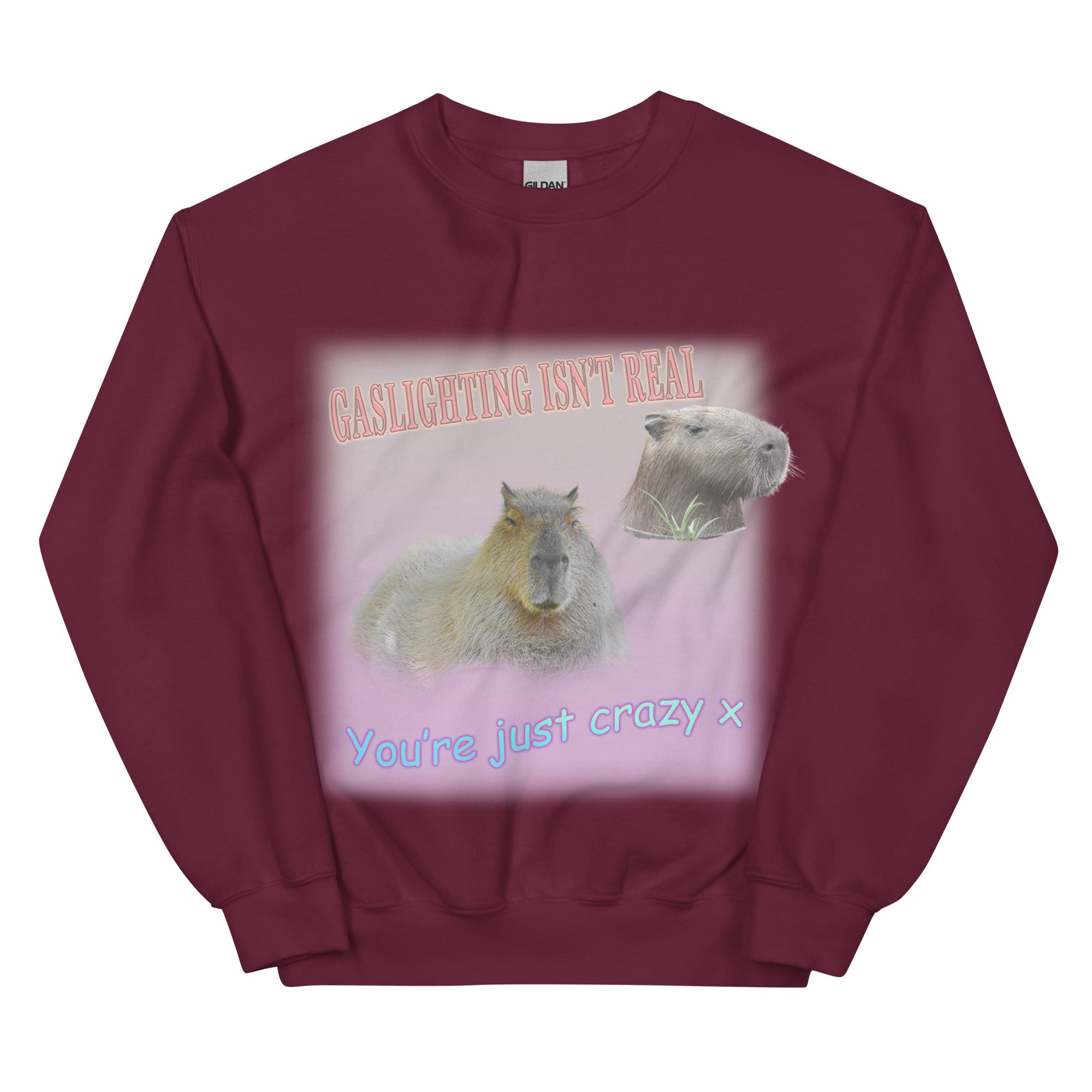 Gaslighting Isn't Real Sweatshirt