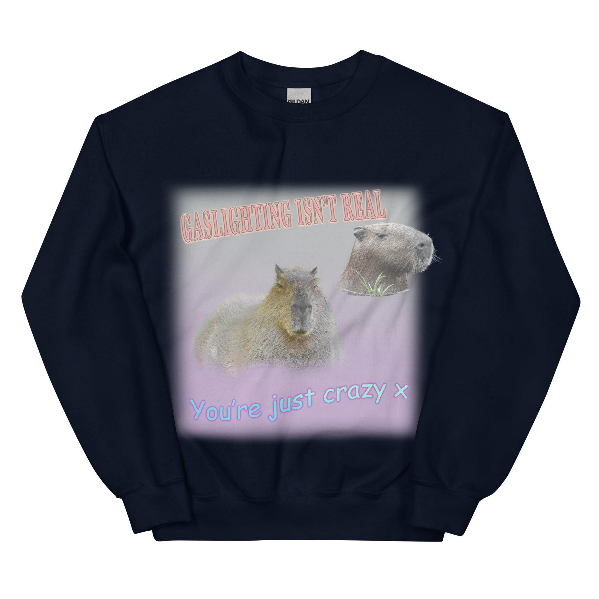 Gaslighting Isn't Real Sweatshirt