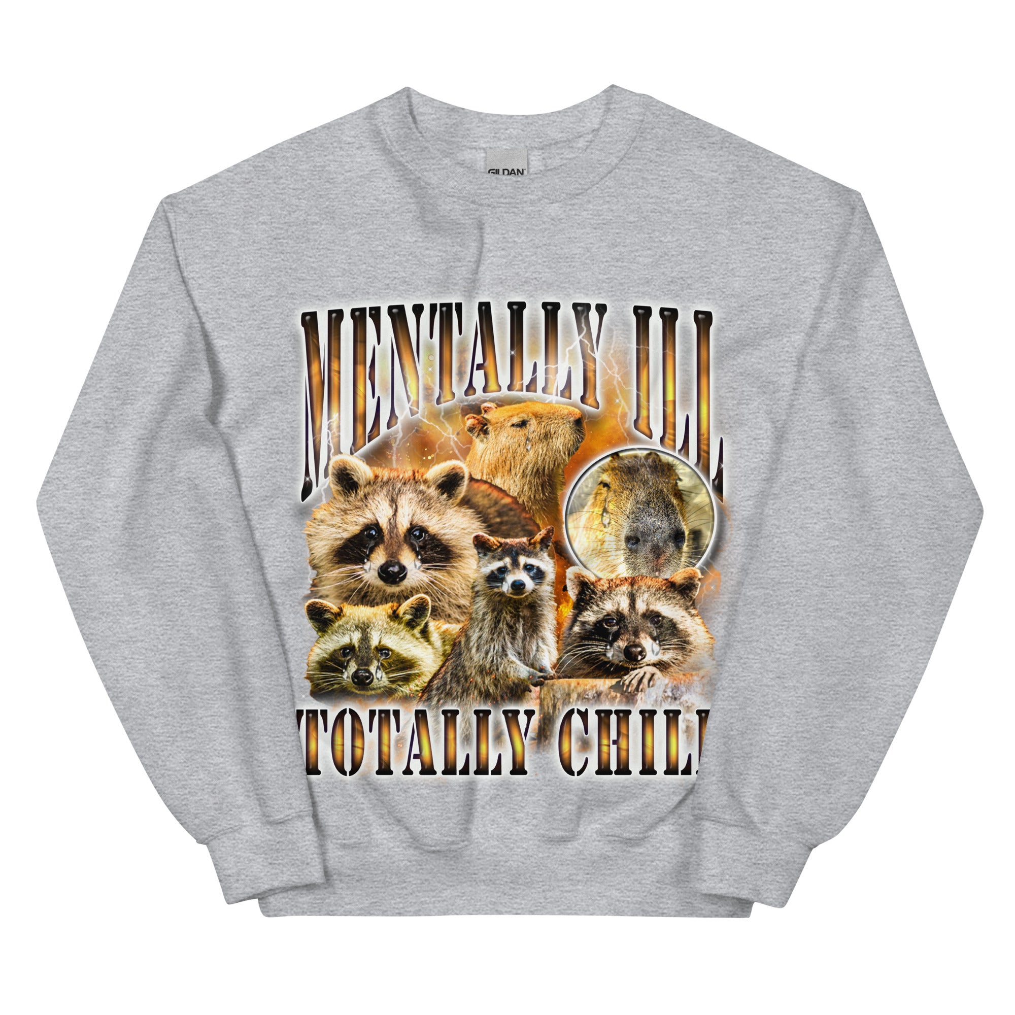 Mentally Ill Totally Chill Sweatshirt