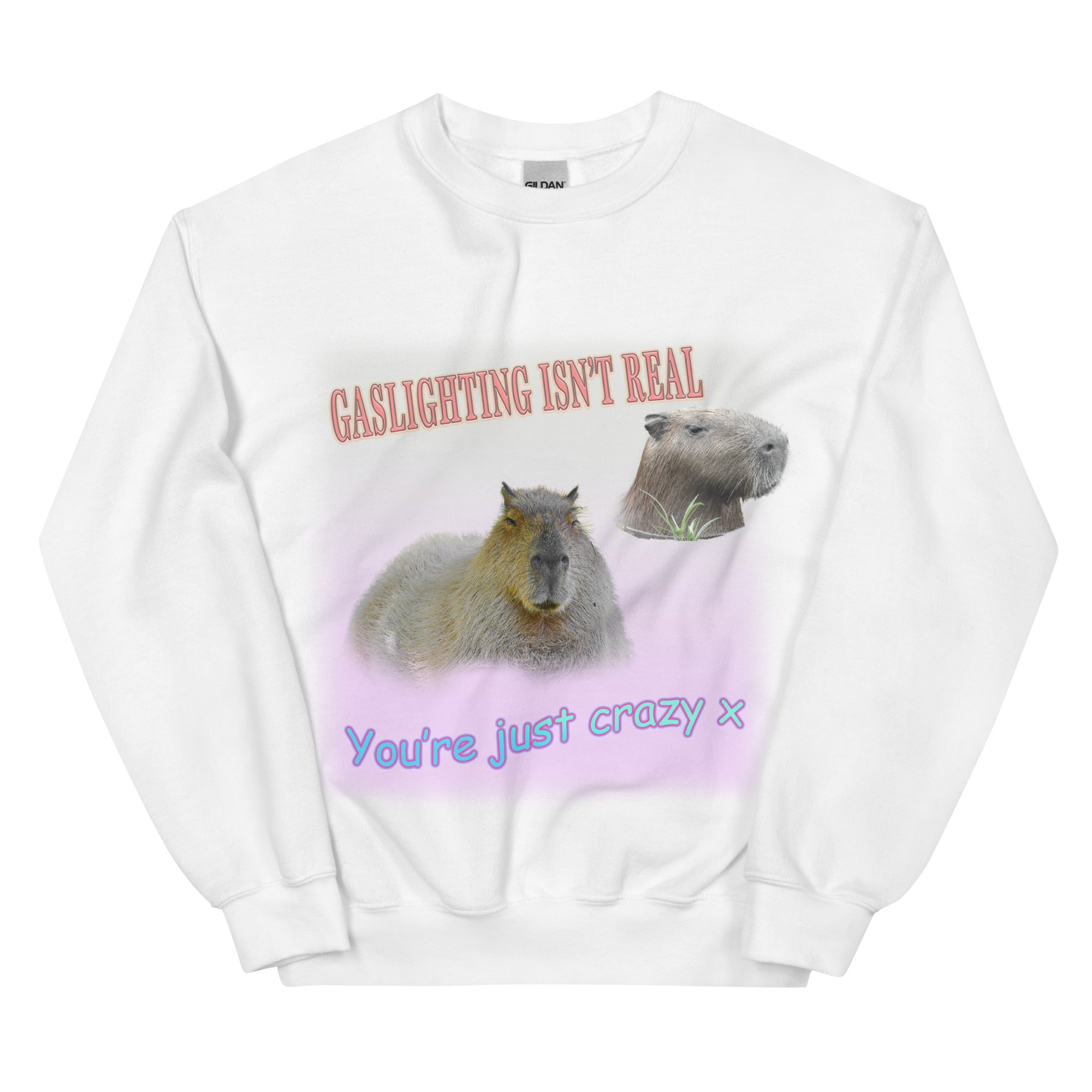 Gaslighting Isn't Real Sweatshirt