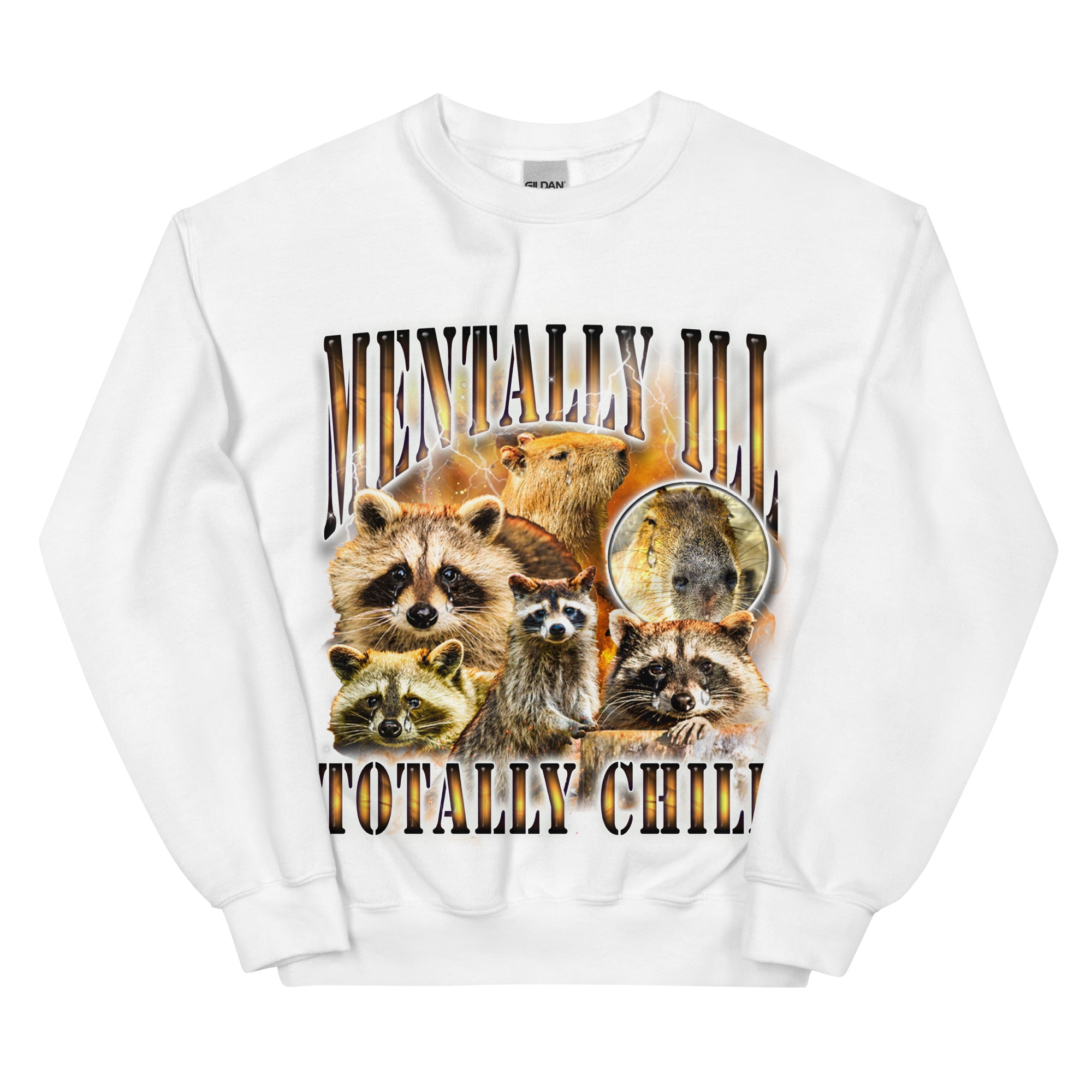 Mentally Ill Totally Chill Sweatshirt