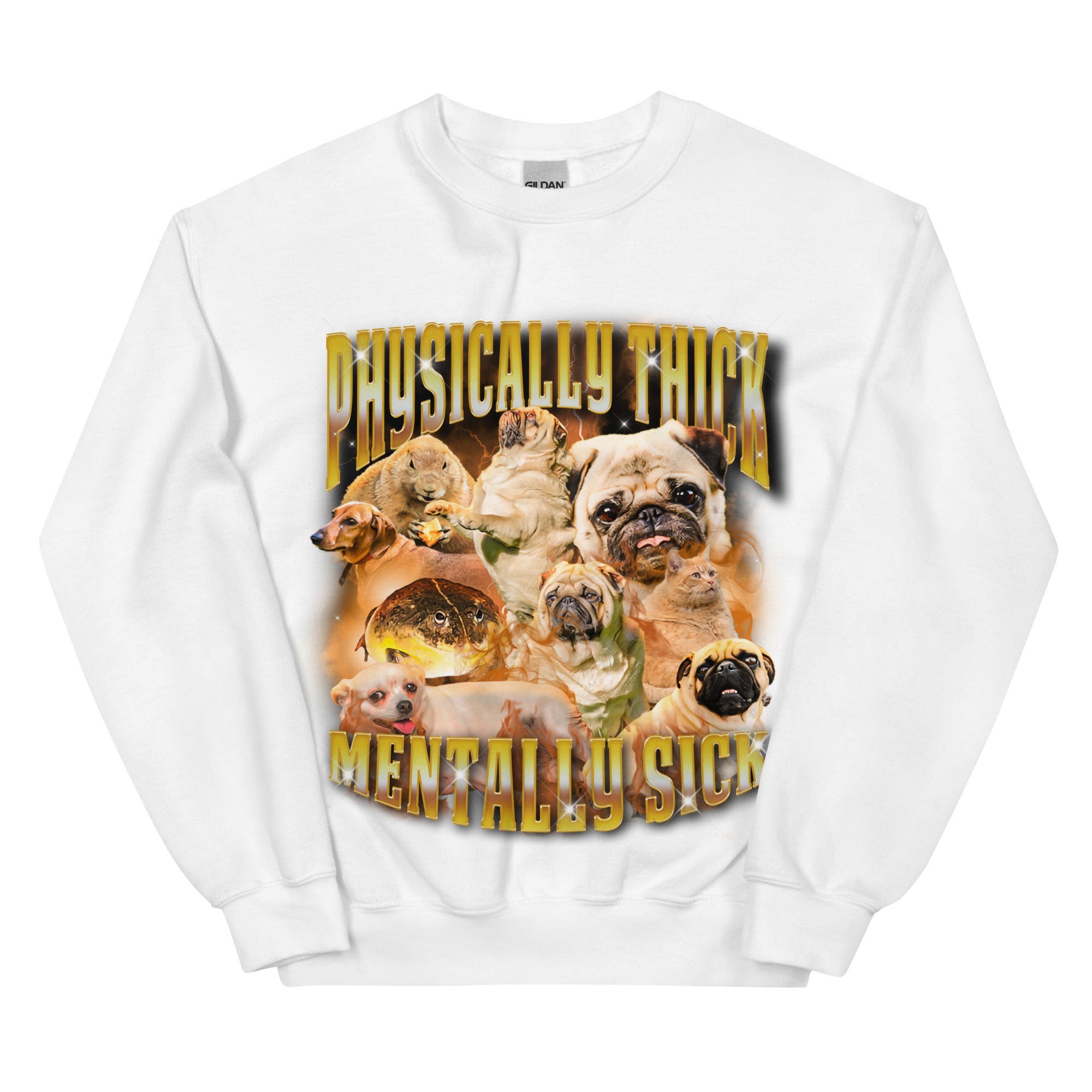 Physically Thick Mentally Sick Sweatshirt