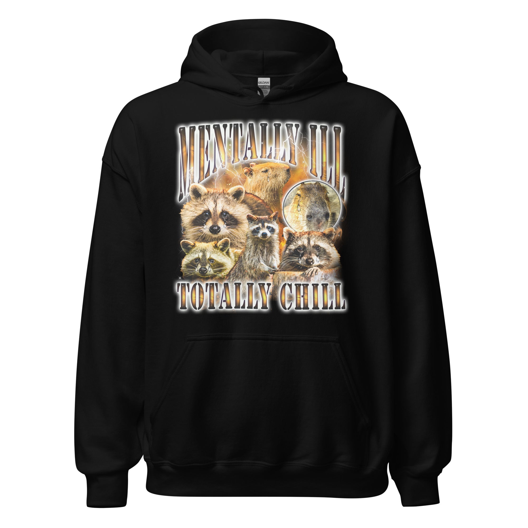 Mentally Ill Totally Chill Hoodie