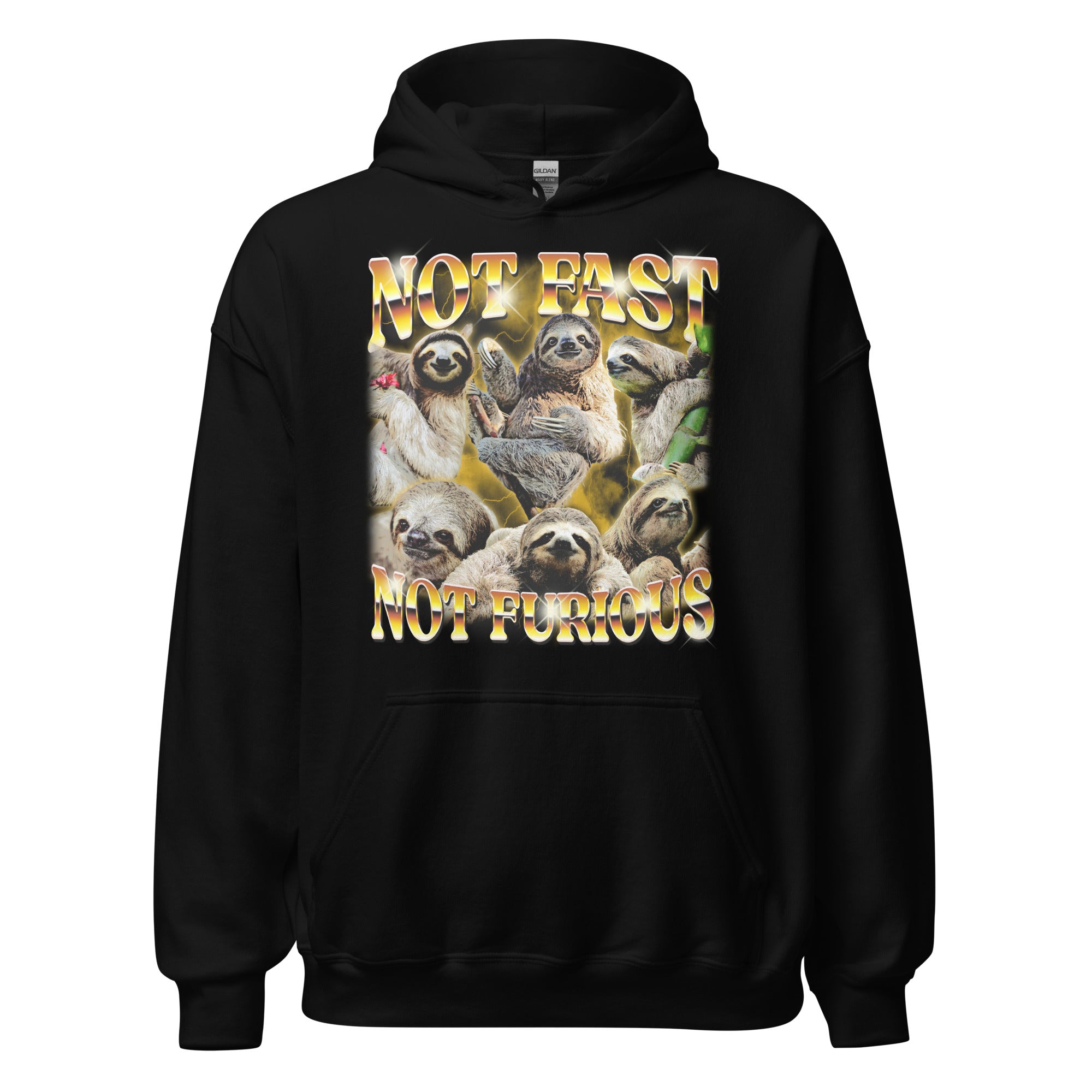 Not Fast Not Furious Hoodie