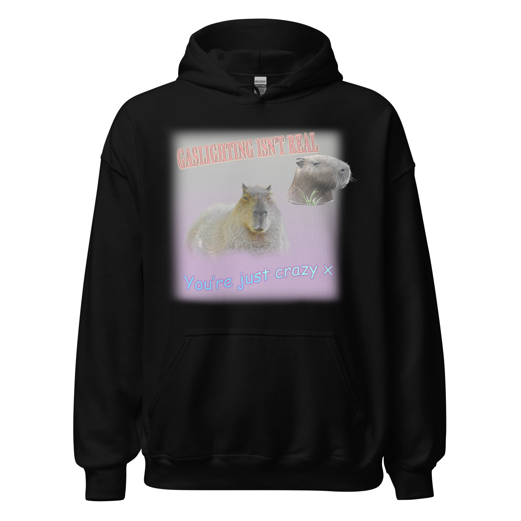 Gaslighting isn't Real Hoodie