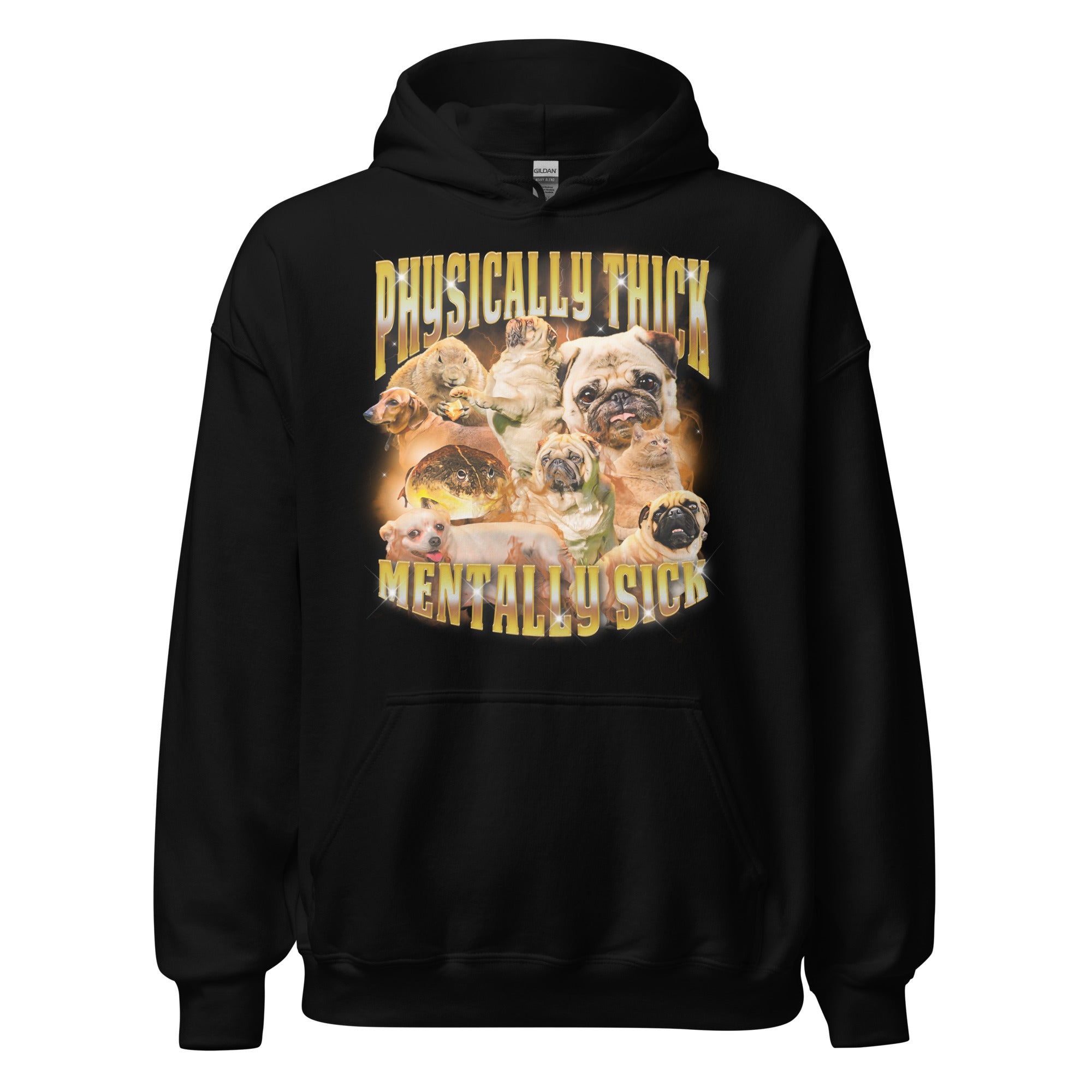 Physically Thick Mentally Sick Hoodie