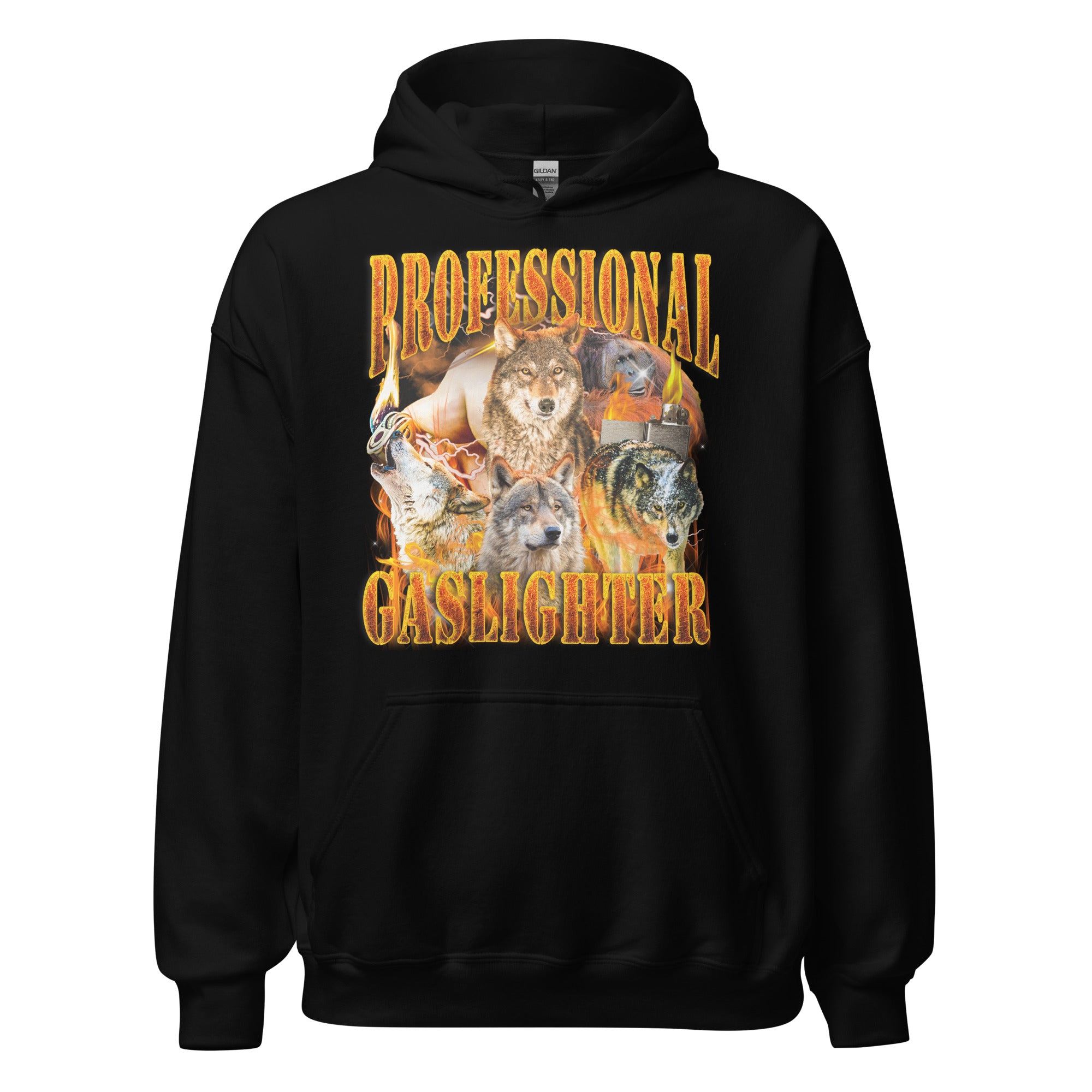 Professional Gaslighter Hoodie