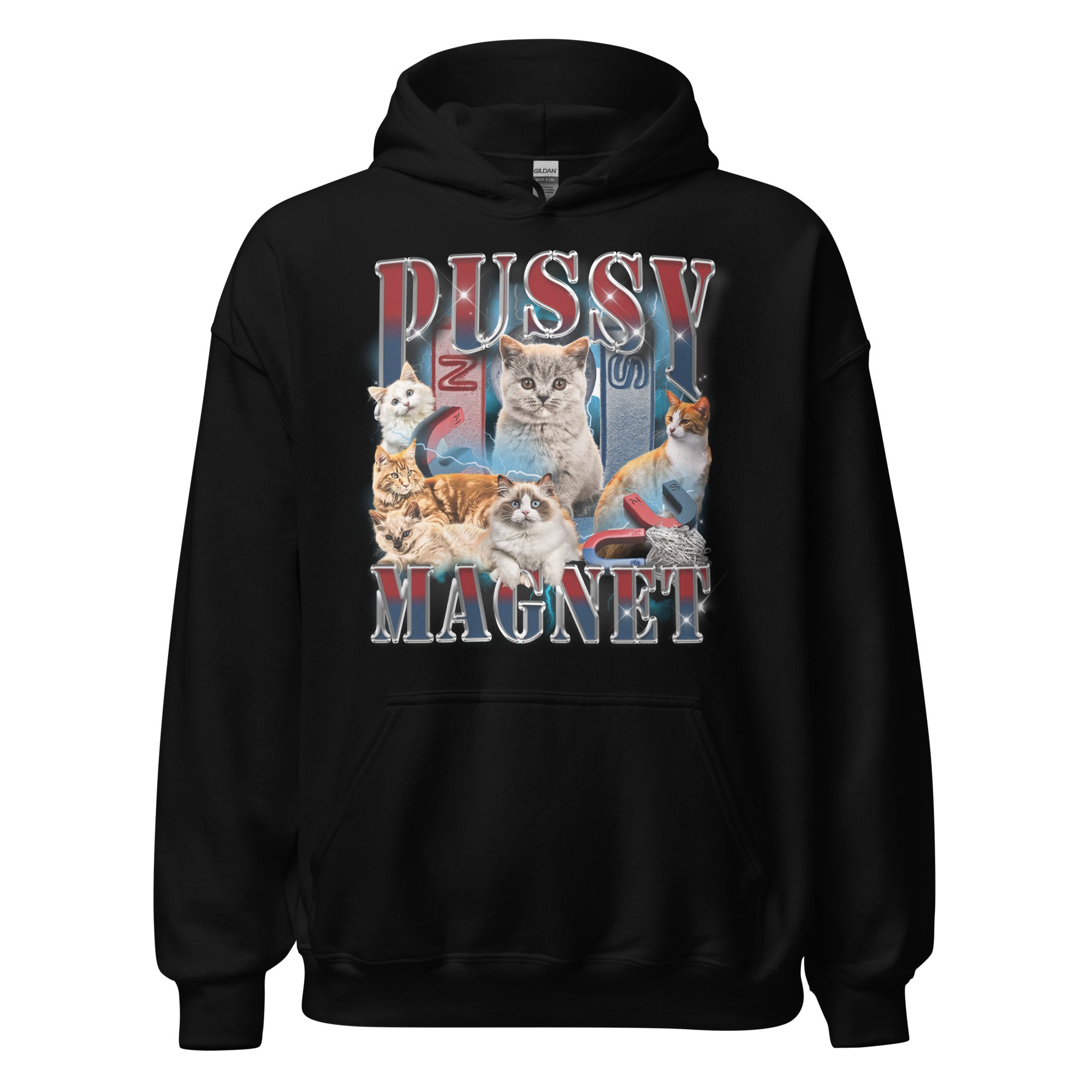 Pussy Magnet Hoodie