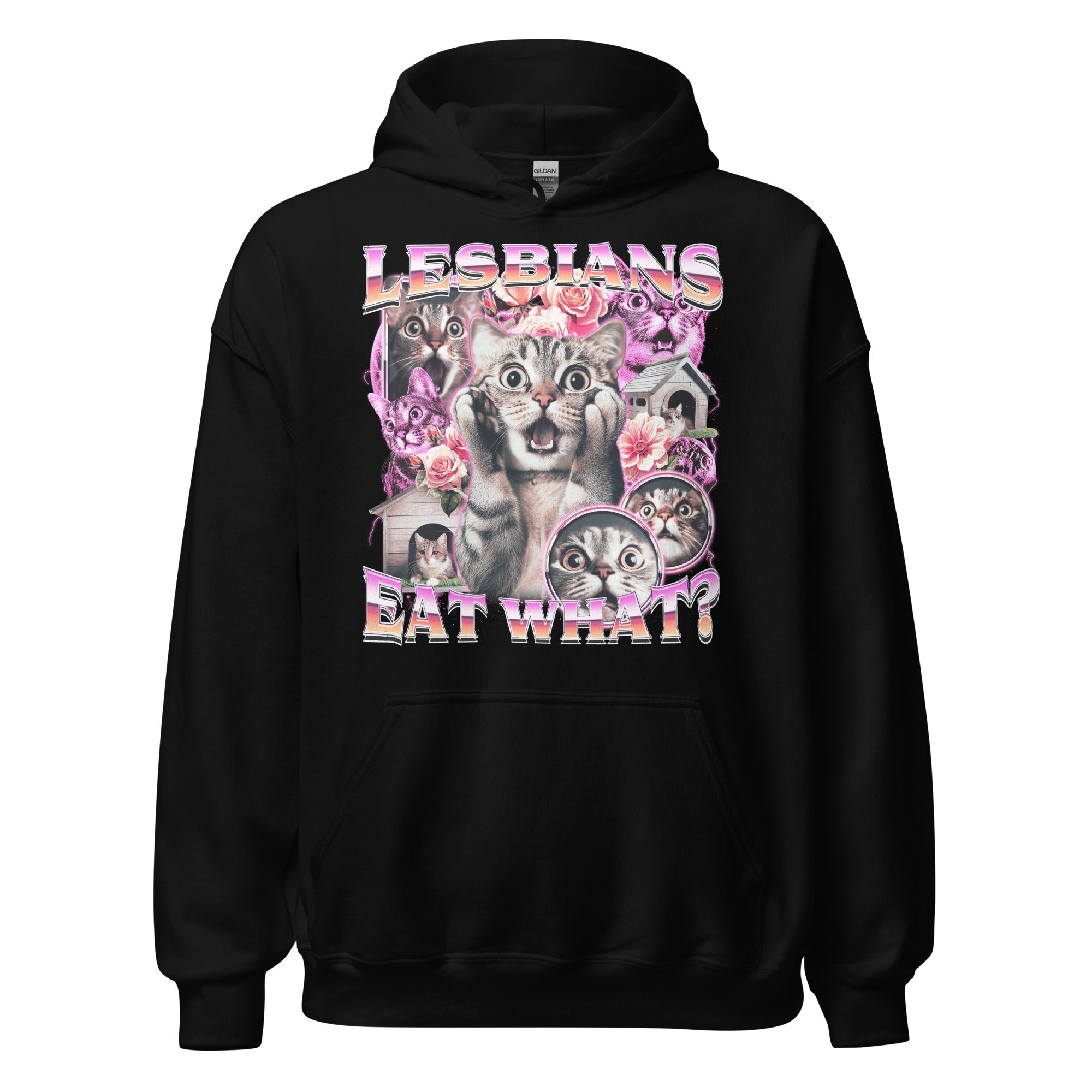 Lesbians Eat What Hoodie