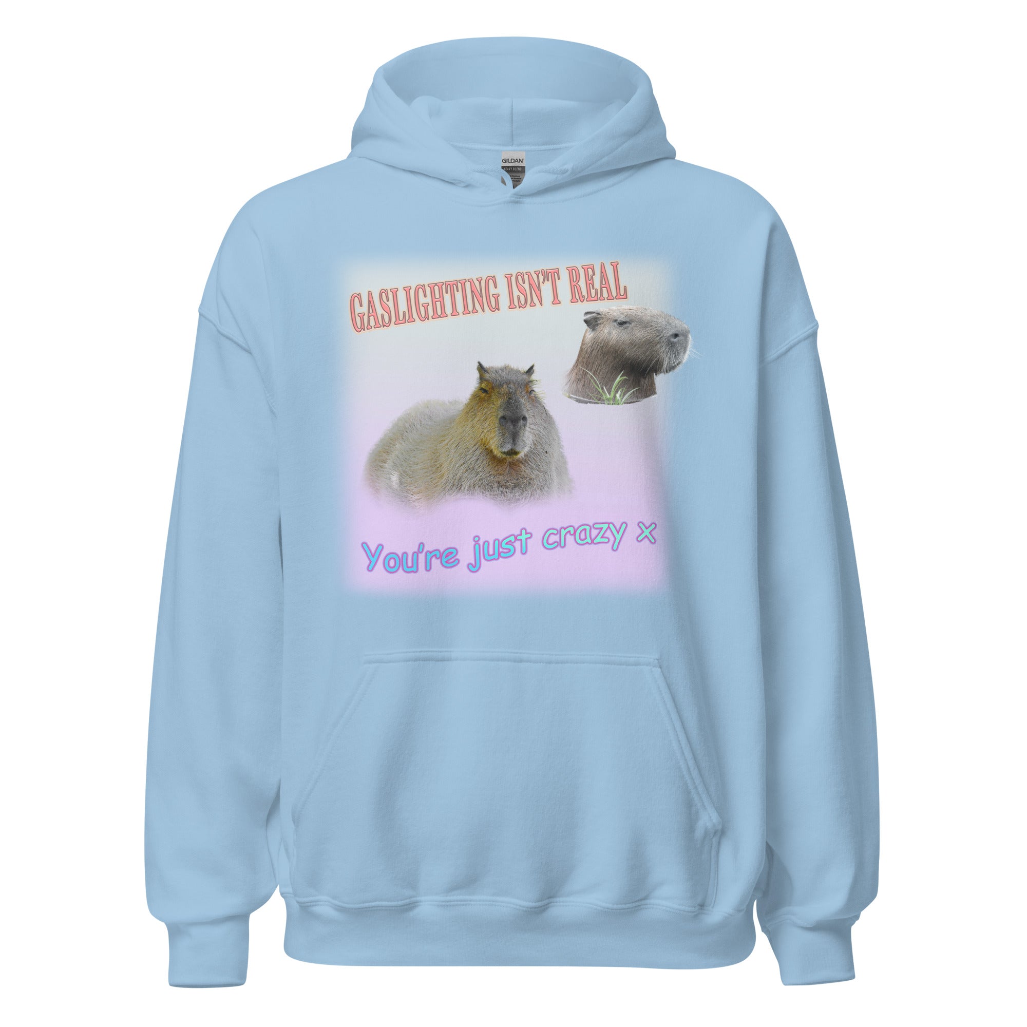 Gaslighting isn't Real Hoodie