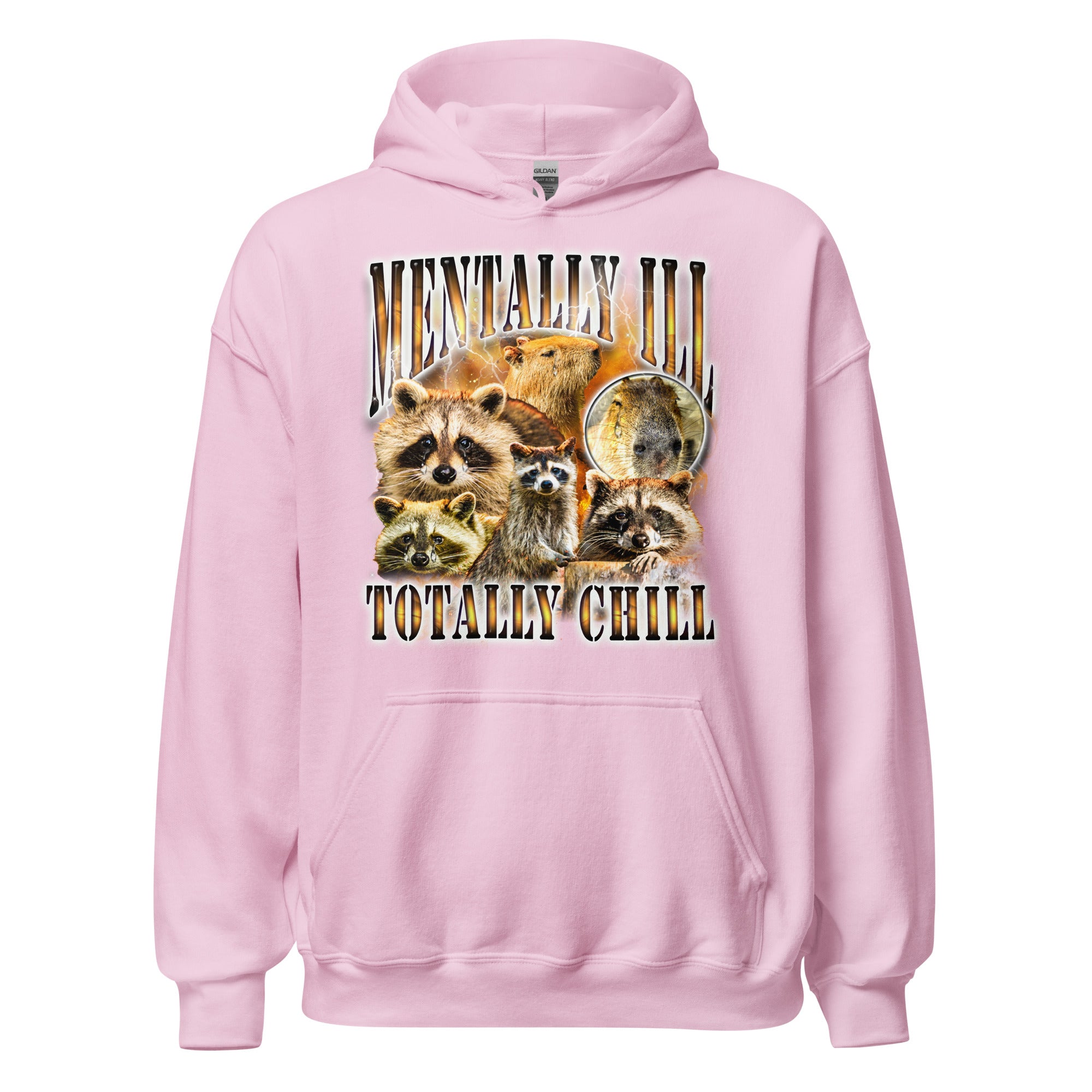 Mentally Ill Totally Chill Hoodie