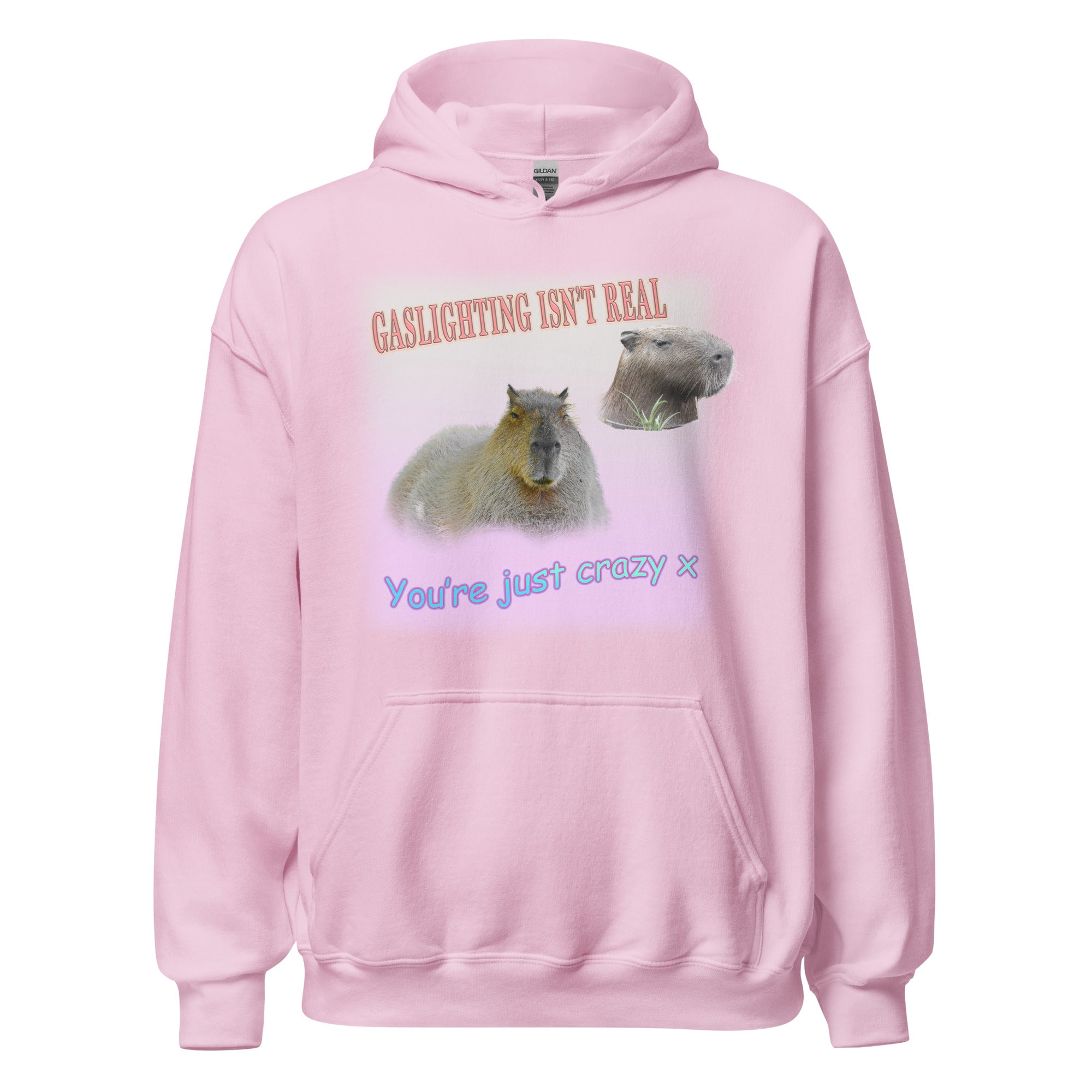 Gaslighting isn't Real Hoodie