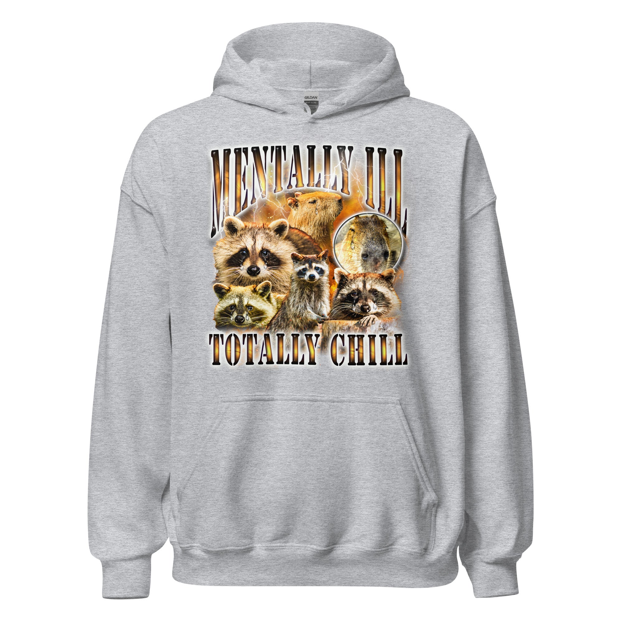 Mentally Ill Totally Chill Hoodie