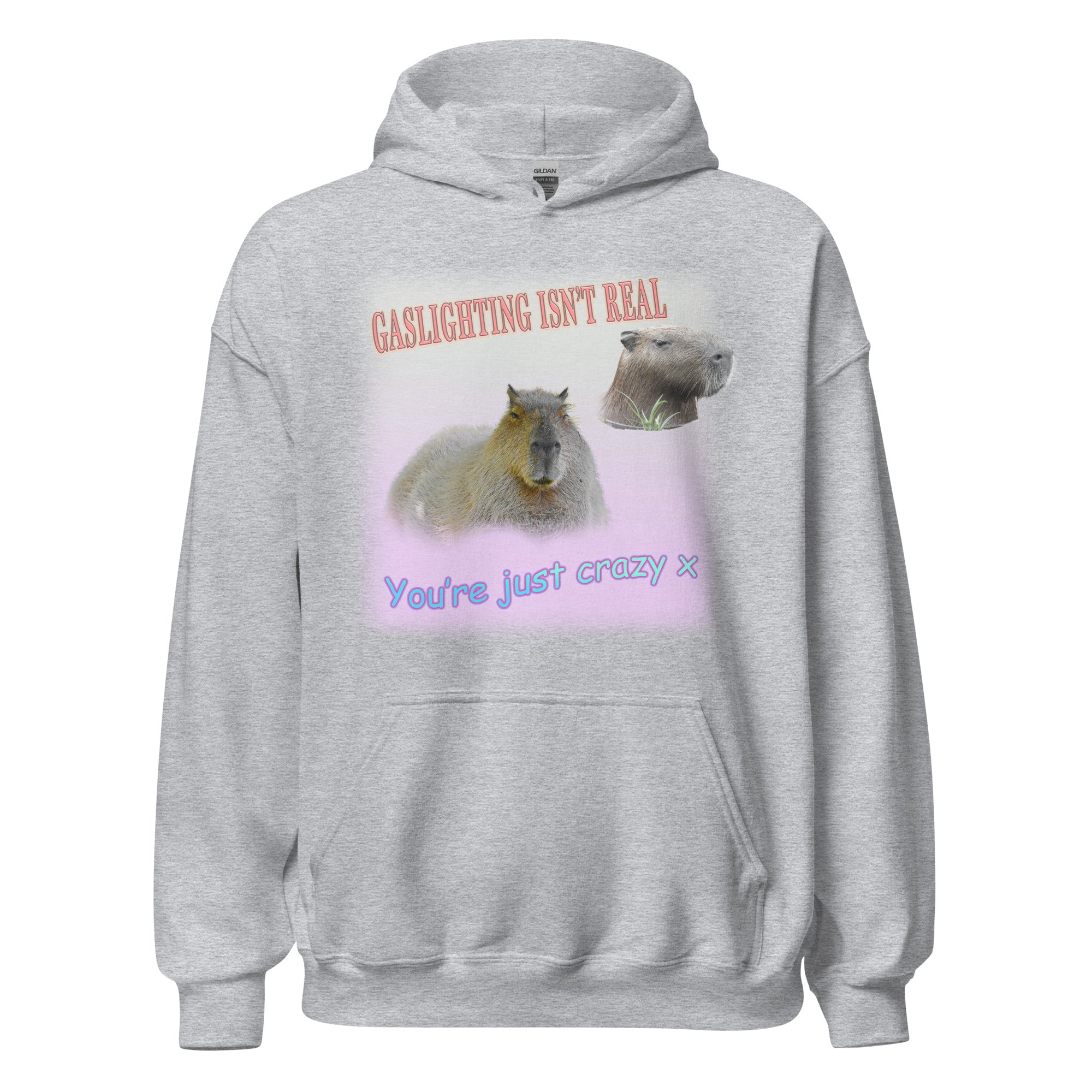 Gaslighting isn't Real Hoodie