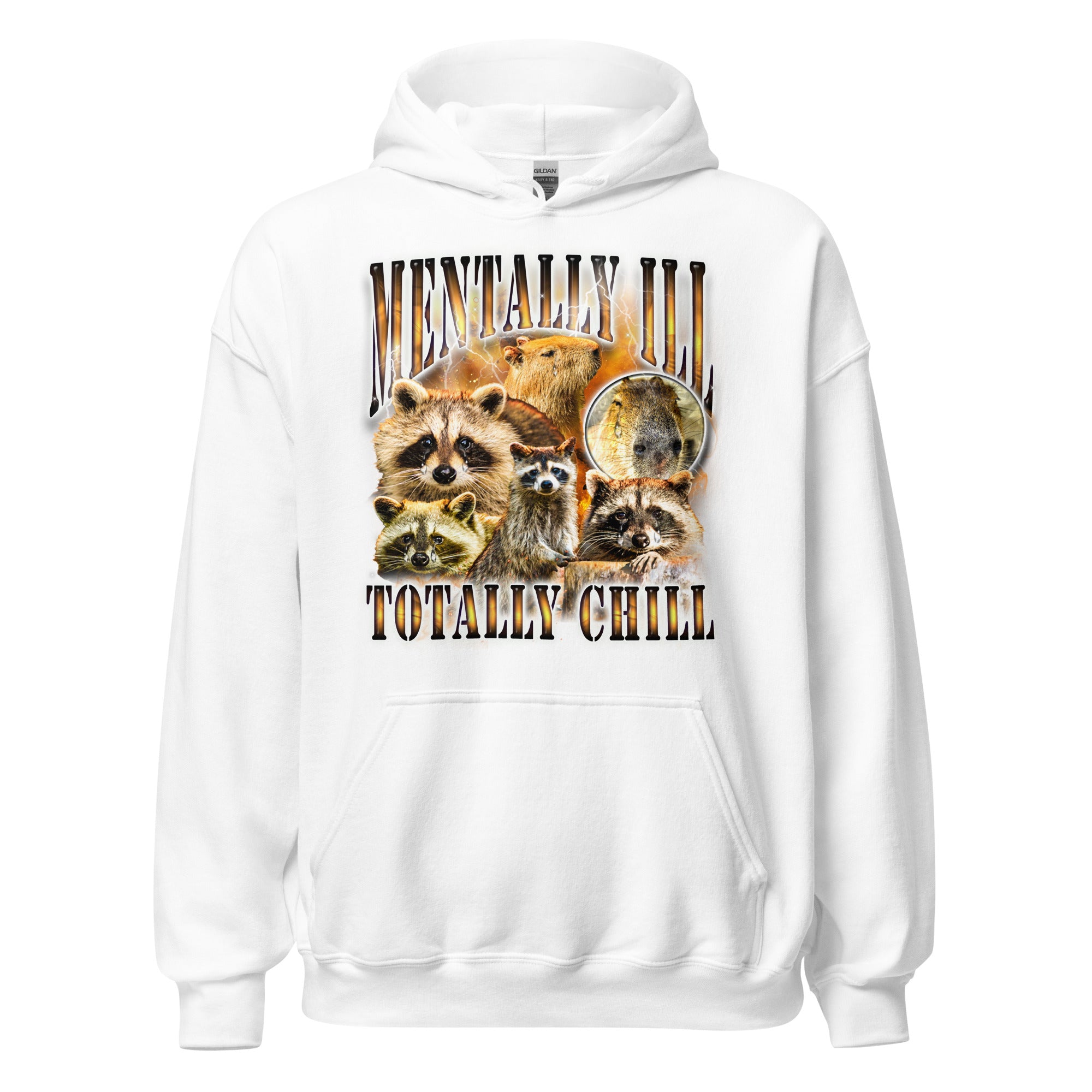 Mentally Ill Totally Chill Hoodie