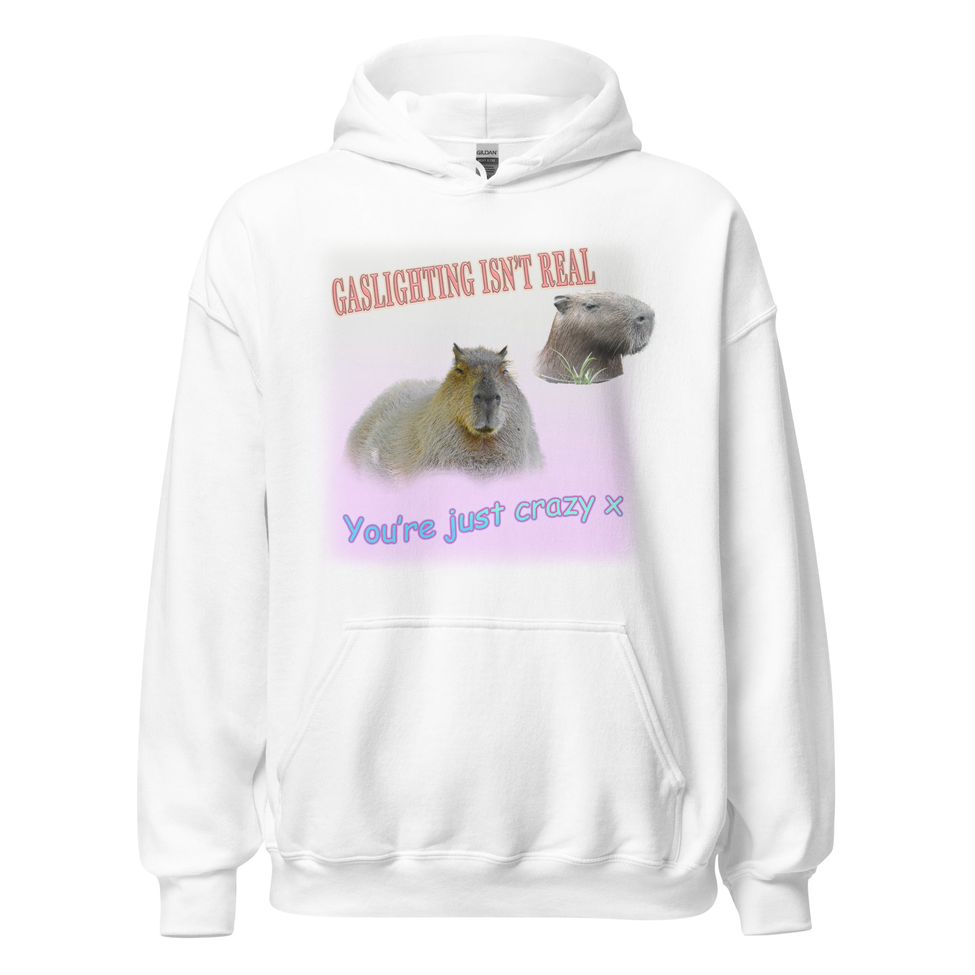 Gaslighting isn't Real Hoodie