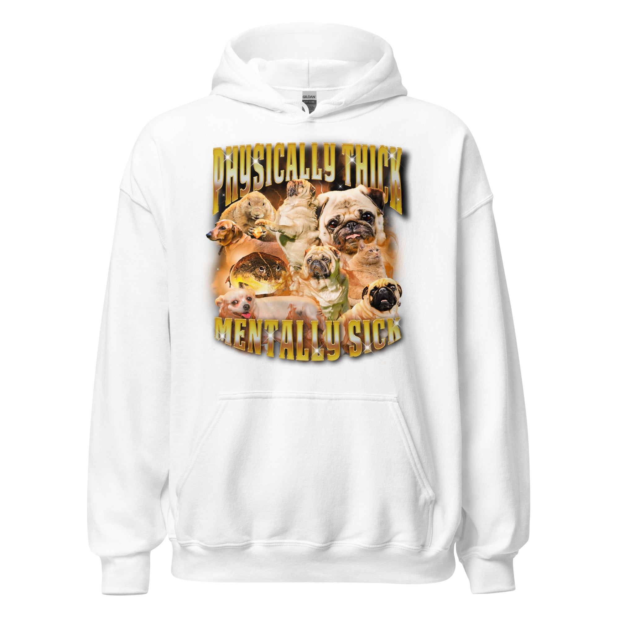 Physically Thick Mentally Sick Hoodie