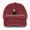 My Pronouns are USA Vintage Cotton Twill Cap