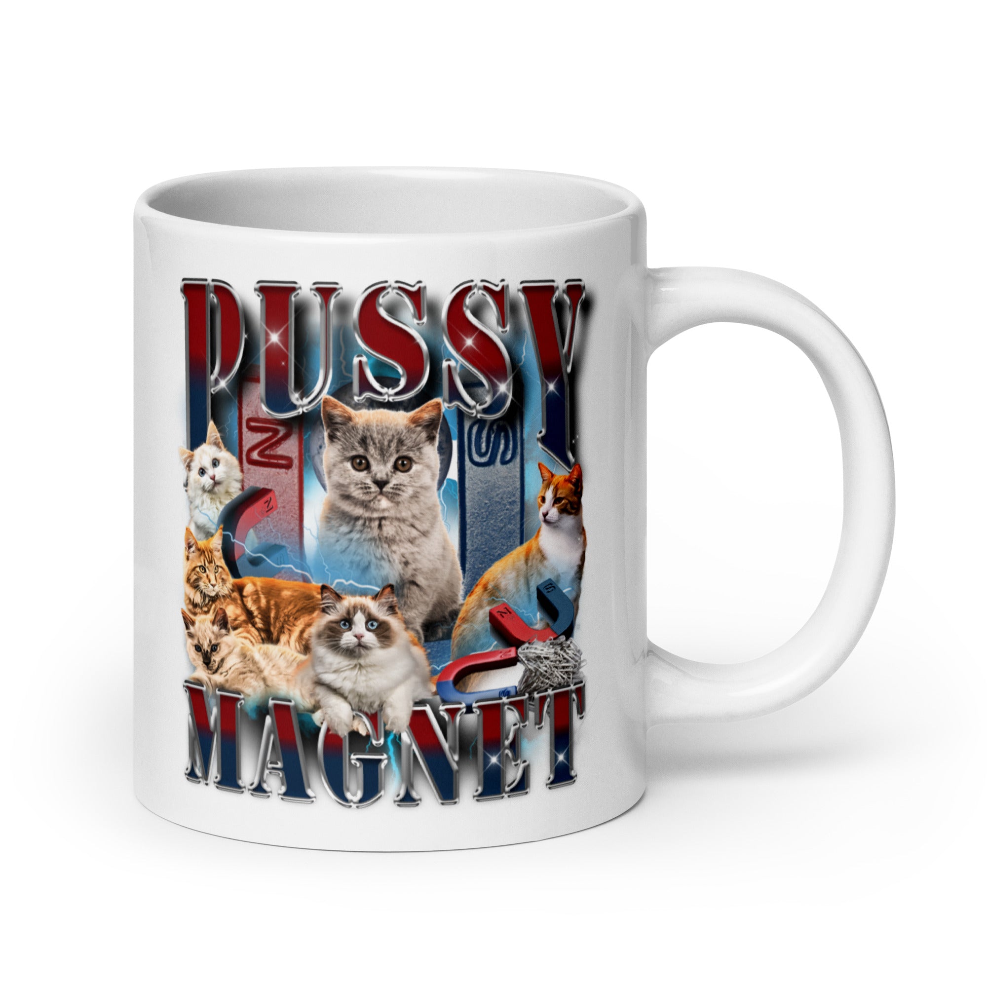 Pussy Magnet White glossy mug